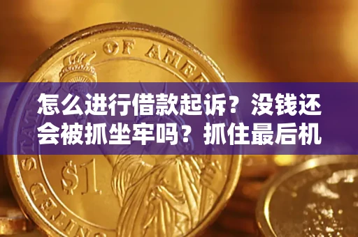 济南怎么进行借款起诉？没钱还会被抓坐牢吗？抓住最后机会！