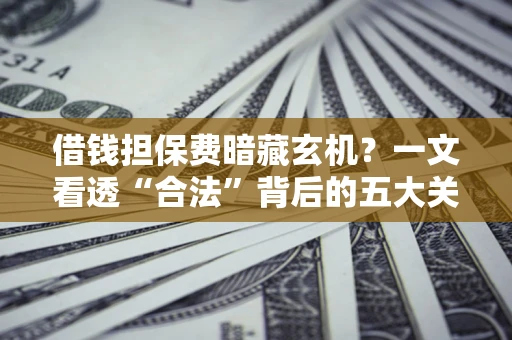 济南借钱担保费暗藏玄机？一文看透“合法”背后的五大关键陷阱