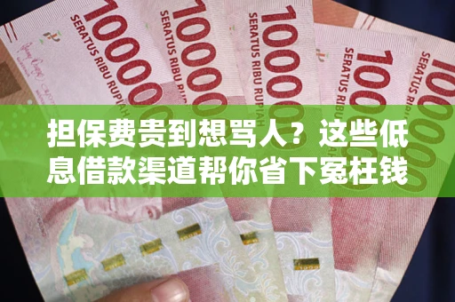 济南担保费贵到想骂人？这些低息借款渠道帮你省下冤枉钱