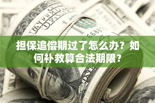济南担保追偿期过了怎么办？如何补救算合法期限？