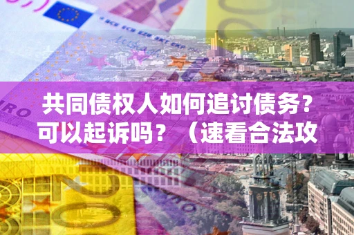 济南共同债权人如何追讨债务？可以起诉吗？（速看合法攻略）